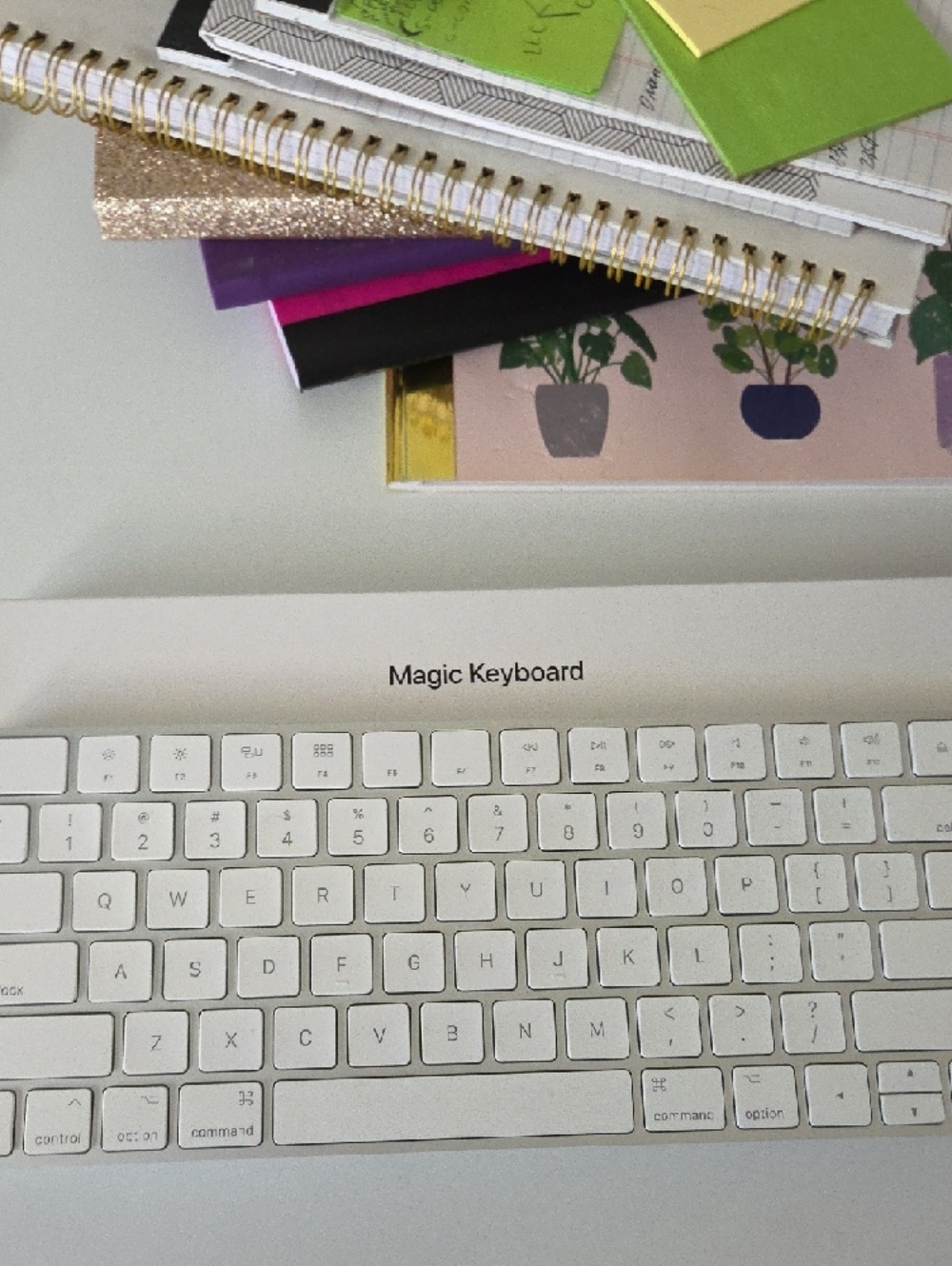 Apple Magic Keyboard in White and Silver Aluminum